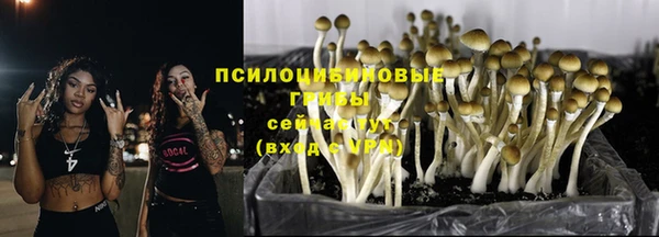 каннабис Богданович
