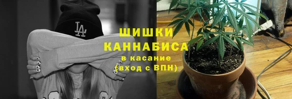 каннабис Богданович