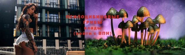 таблы Богородск