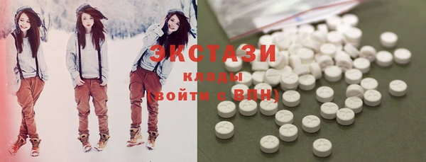 ECSTASY Богородицк