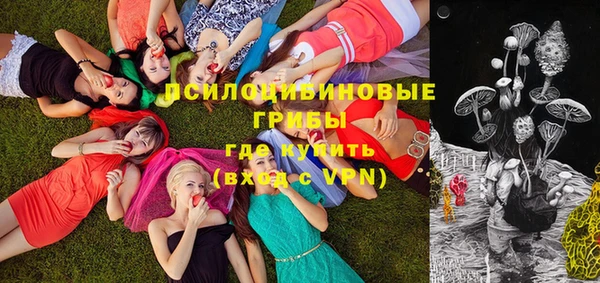 ECSTASY Богородицк