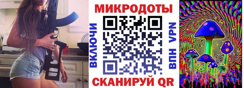 Галлюциногенные грибы Psilocybe Барыш